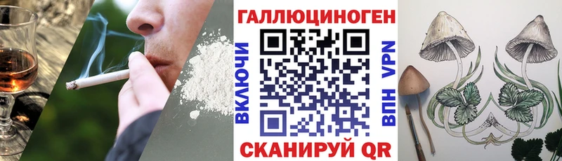 что такое   Мамоново  darknet формула  Галлюциногенные грибы Cubensis  гидра зеркало 